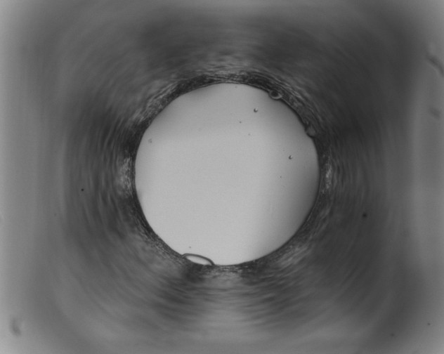 X0000099321156200805161354