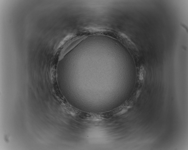 X0000099321157200805161354