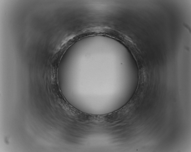 X0000099321158200805161354