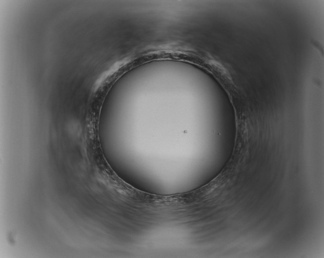 X0000099321159200805161354