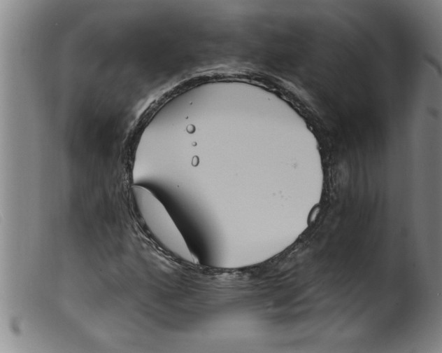 X0000099321160200805161354