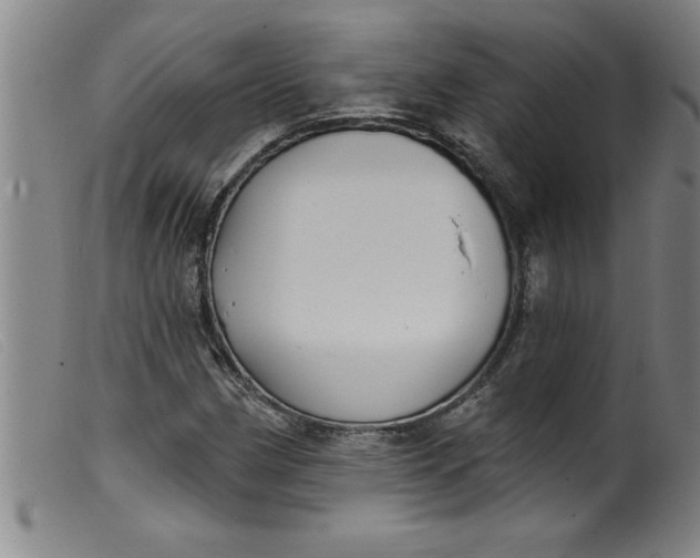 X0000099321162200805161354