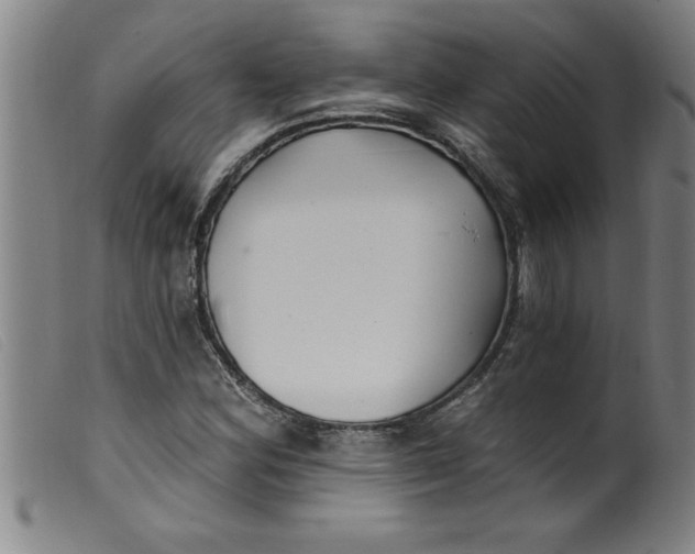 X0000099321164200805161354