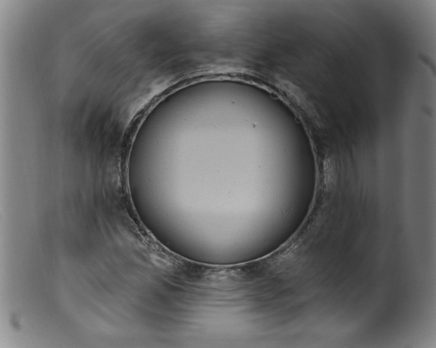 X0000099321165200805161354