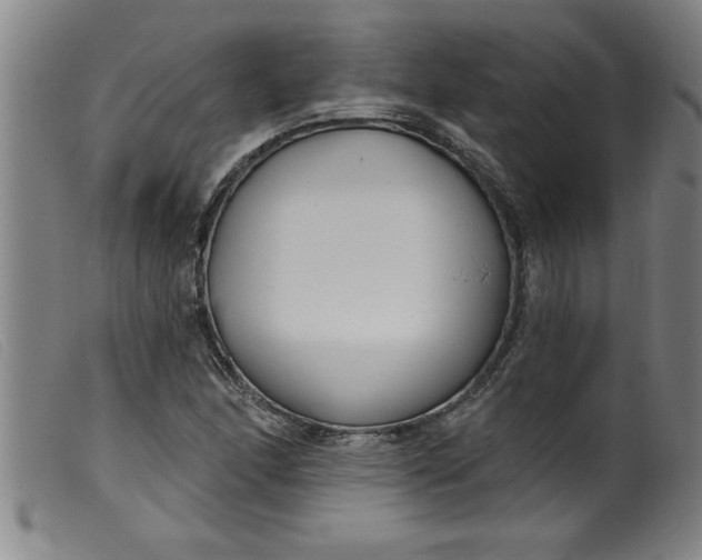 X0000099321166200805161353