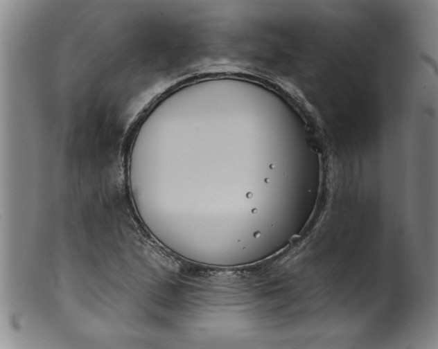 X0000099321167200805161353