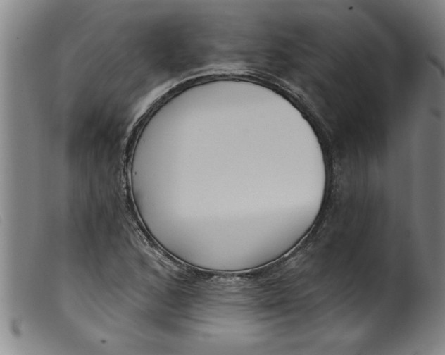 X0000099321168200805161353