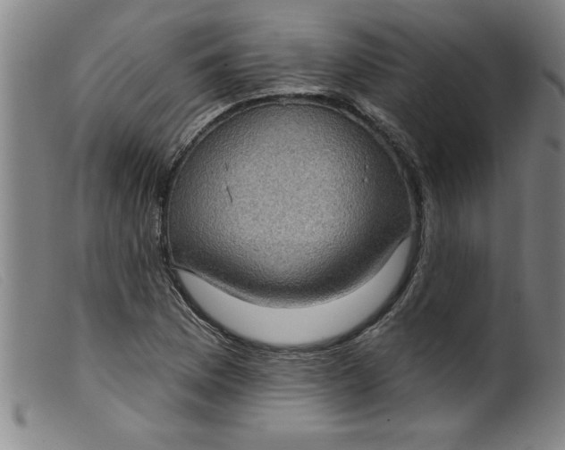 X0000099321169200805161353