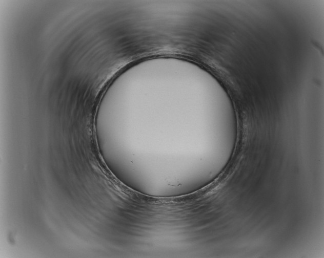 X0000099321170200805161353