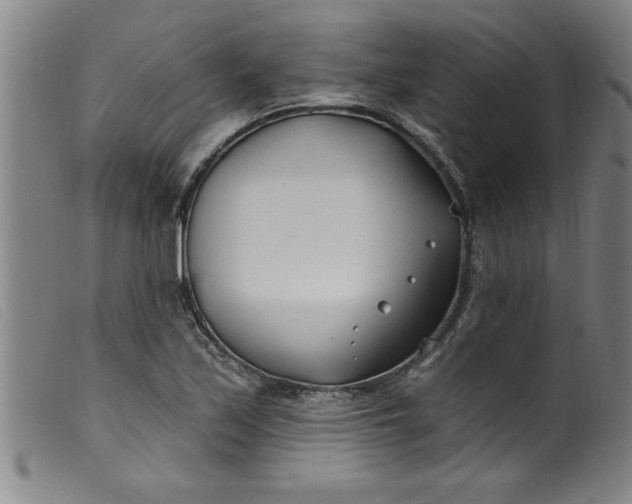 X0000099321171200805161353