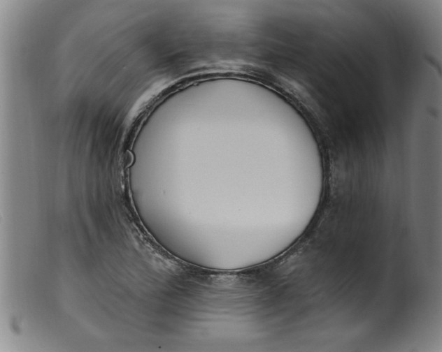 X0000099321172200805161353