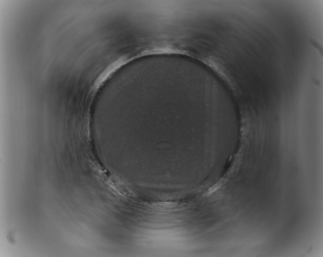 X0000099321173200805161353