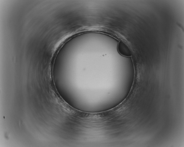 X0000099321174200805161353