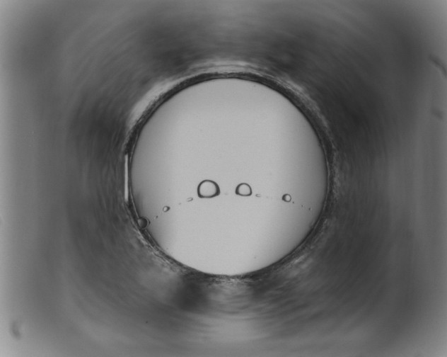 X0000099321175200805161353