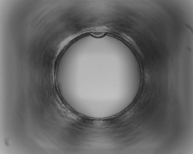 X0000099321176200805161353