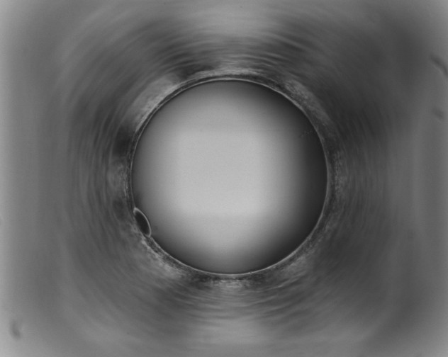 X0000099321177200805161353