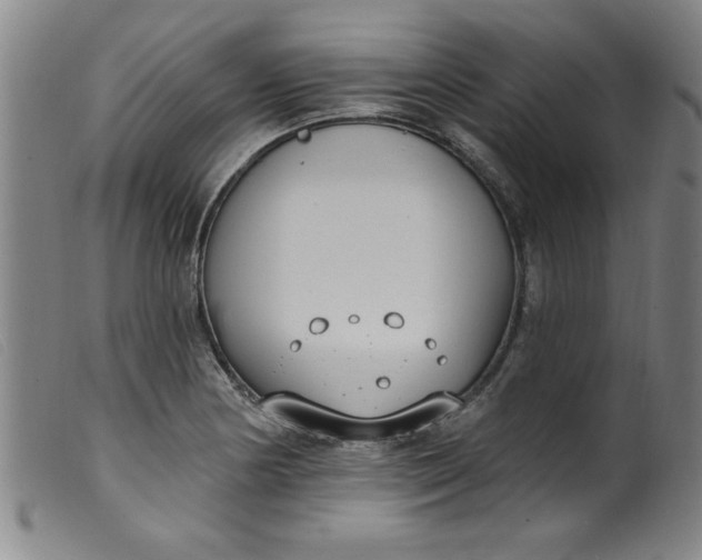 X0000099321178200805161353