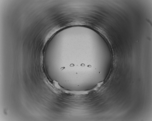 X0000099321179200805161353