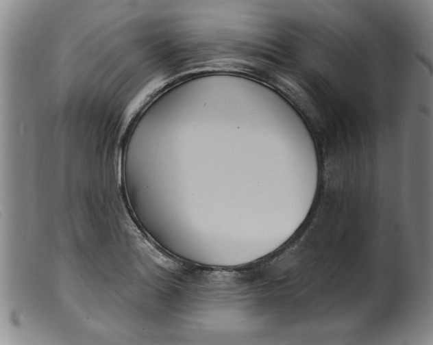 X0000099321180200805161353