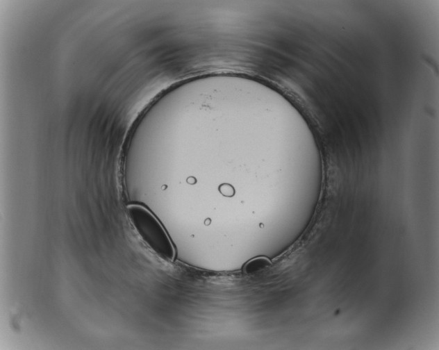 X0000099321182200805161353