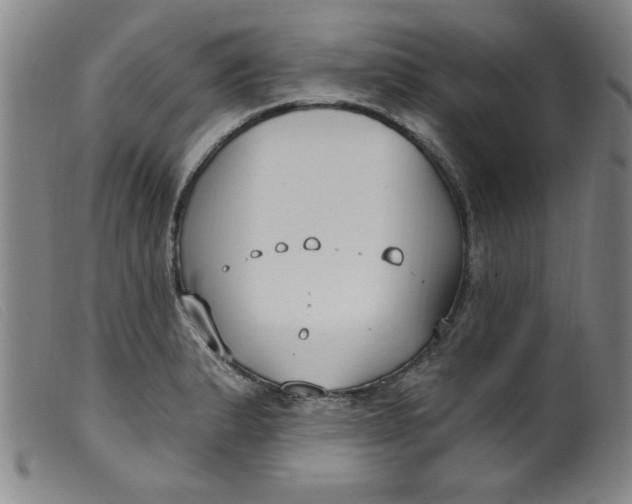 X0000099321183200805161353