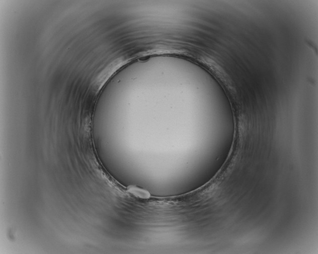 X0000099321185200805161353