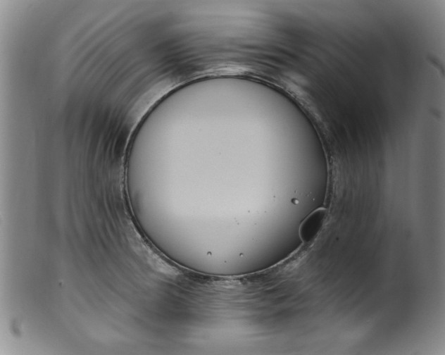 X0000099321186200805161353