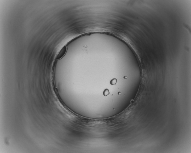 X0000099321187200805161353