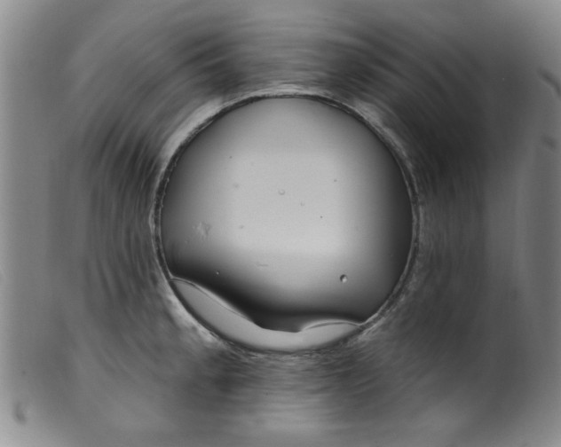 X0000099321189200805161353