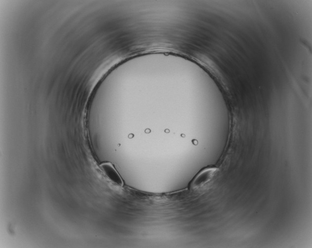 X0000099321190200805161353