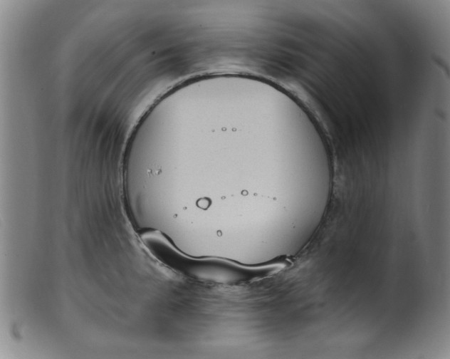 X0000099321191200805161353