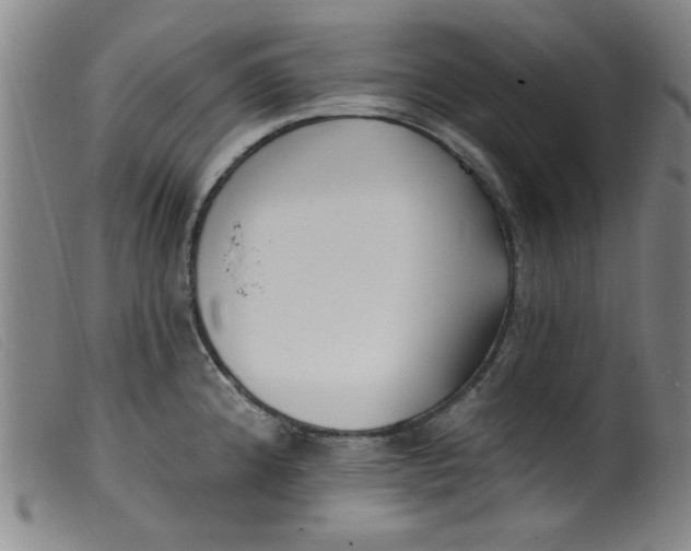 X0000099321192200805161353