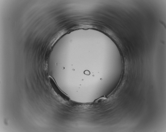 X0000099321193200805161353