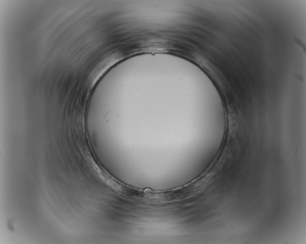 X0000099321194200805161353