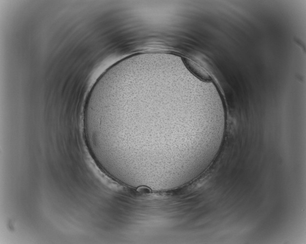 X0000099321195200805161353