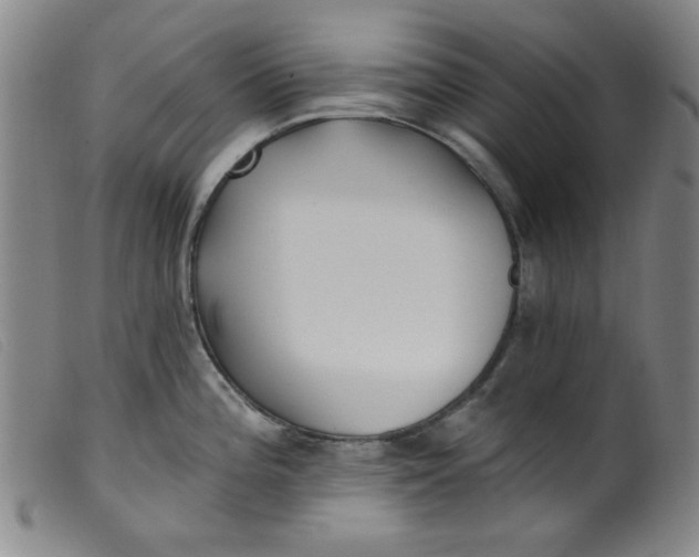 X0000099321196200805161353