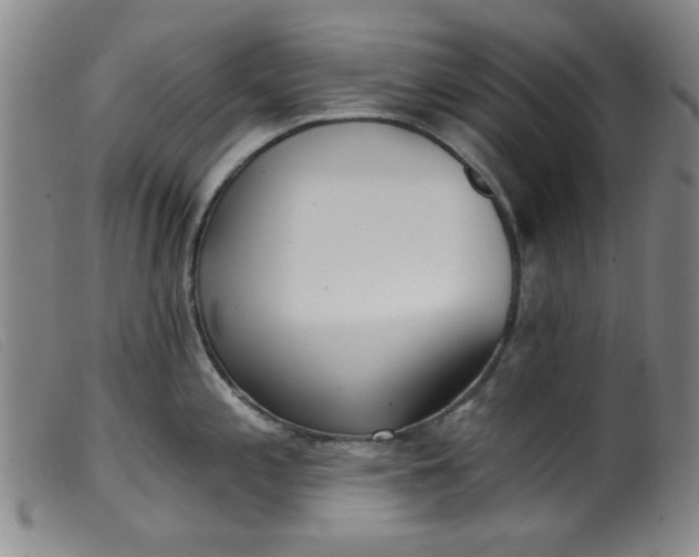 X0000099321197200805161353