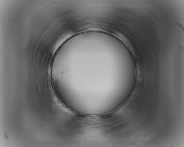 X0000099321198200805161353