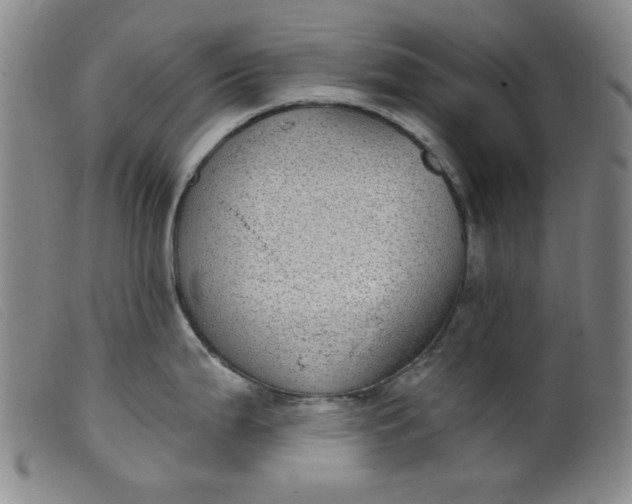 X0000099321199200805161353