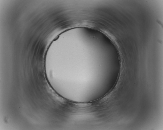 X0000099321200200805161353