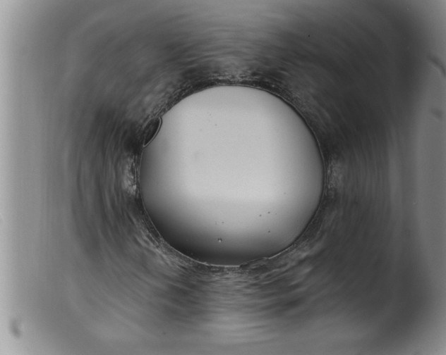 X0000099321202200805161352