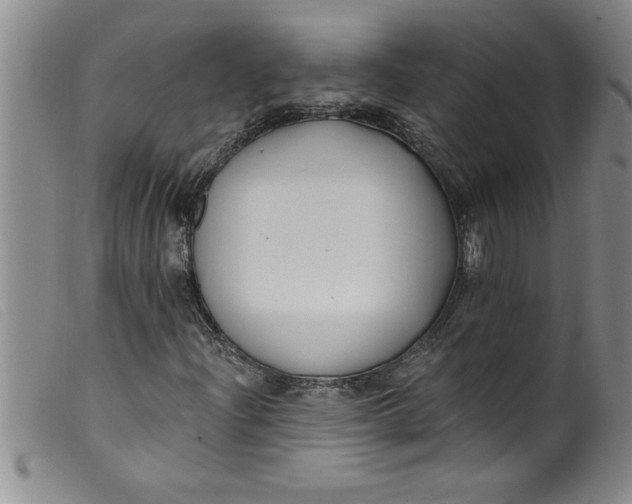 X0000099321204200805161352