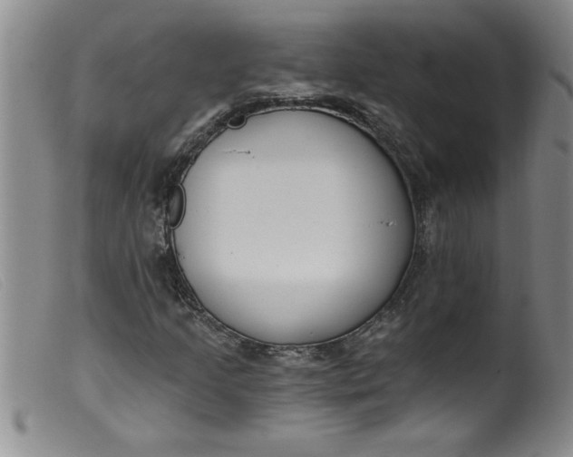 X0000099321205200805161352