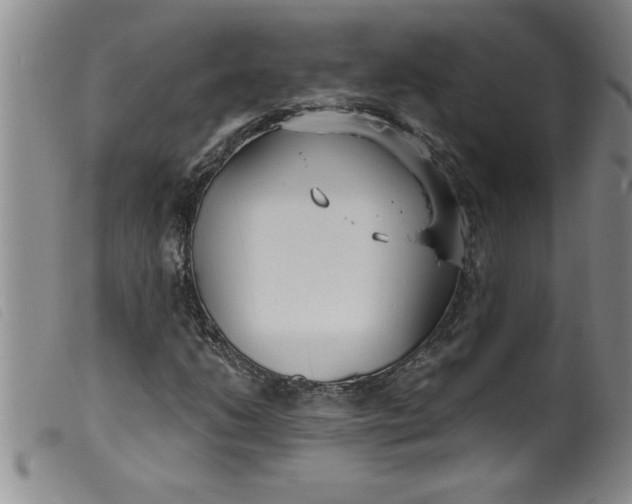 X0000099321206200805161352