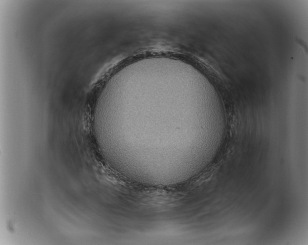 X0000099321207200805161352