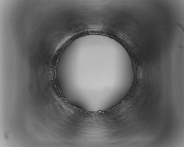 X0000099321208200805161352