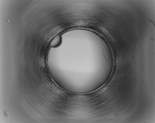 X0000099321209200805161352