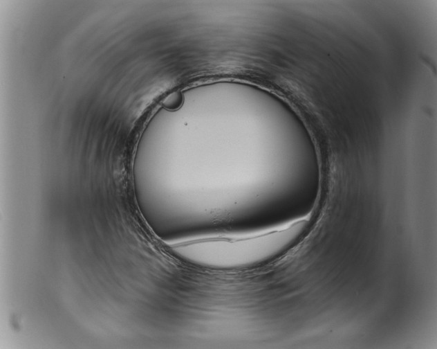 X0000099321210200805161352