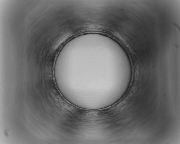 X0000099321211200805161352