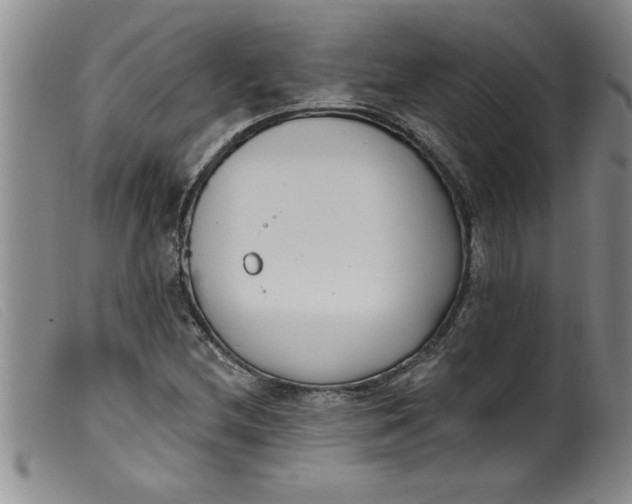 X0000099321212200805161352